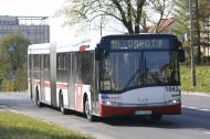 Autobusy Solaris rozchodzą się, jak ciepłe bułeczki.       Fot. PAP