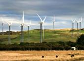 Farma wiatrowa fot. Bloomberg