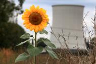 Francja dała Polsce programy symulujące działanie reaktorów atomowych