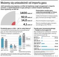 Możemy się uniezależnić od importu gazu