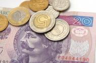 W 2011 r. do budżetu trafi 15 mld zł przychodów z prywatyzacji