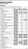 Złoty, euro, frank? W jakiej walucie brać kredyt ?