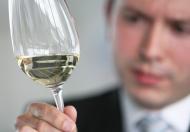 Trzęsienie ziemi w Chile może wywołać falę bankructw wśród miejscowych producentów wina