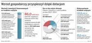 Wzrost gospodarczy przyspieszył dzięki dotacją