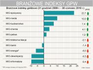 Podsumowanie I półrocza 2010 r. na GPW: średnie spółki królują na parkiecie