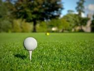 Pola golfowe i boiska piłkarskie nakręcają koniunkturę na rynku trawy sportowej