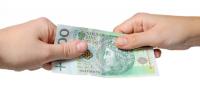 Fot. Shutterstock.