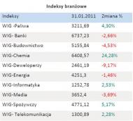 Indeksy branżowe - styczeń 2011 r.