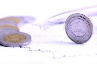 Złoty traci do głównych walut, GPW leci w dół