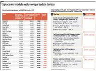 Spreadowy kaganiec, czyli jak taniej spłacać kredyt w walutach