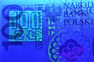 FT: Waluty wschodnioeuropejskie ucierpią przez euro