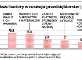 Największe bariery w rozwoju przedsiębiorstw