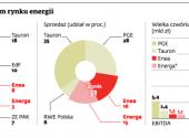 Najwięksi gracze na polskim rynku energii