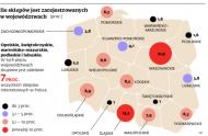 Sklepy internetowe: plankton walczy z rekinami o e-handel
