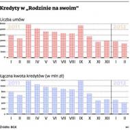 Mniej „Rodziny na swoim”. Spada liczba udzielanych kredytów