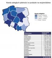 Średnie zadłużenie Polaków przekracza 16,5 tys. zł - mapa województw