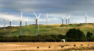 Energa wciąż inwestuje w energię odnawialną