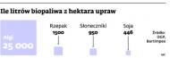 Gudzowaty chce robić paliwo z glonów