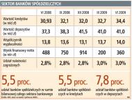 BGK wspomoże banki spółdzielcze
