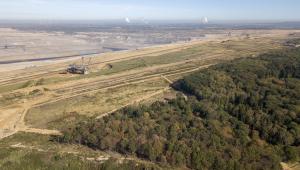 Las przy kopalni odkrywkowej węgla brunatnego w Hambach. Niemcy, 5.10.2018