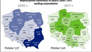 Współczynnik dzietności